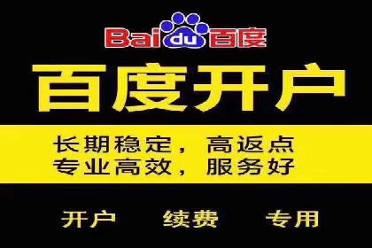 SEM运营公司成功案例解析